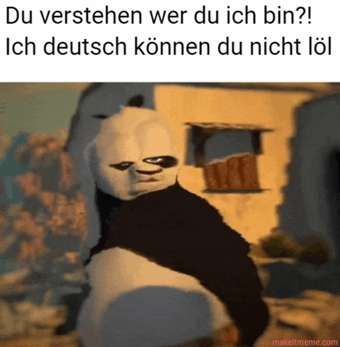 a picture of a panda bear with a caption that says du verstehen wer du ich bin ich deutsch können du nicht lol