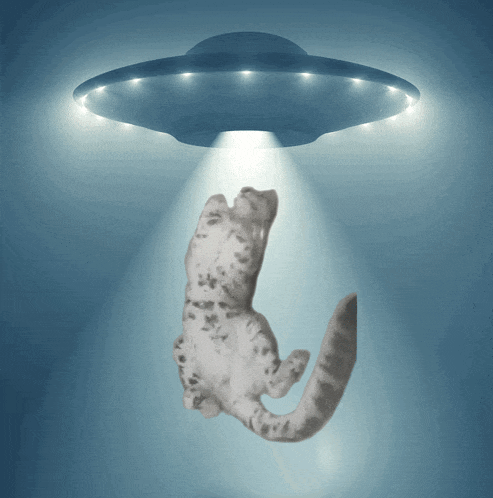 a cat is being abducted by an ufo with a light shining on it