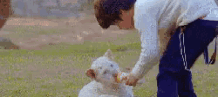 a young boy is feeding a white dog a carrot .