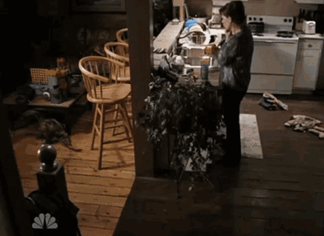 a woman standing in a kitchen with a nbc logo on the wall