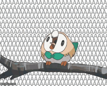Laughing Hysterically Russian Rowlet GIF - Laughing Hysterically Russian Rowlet GIFs