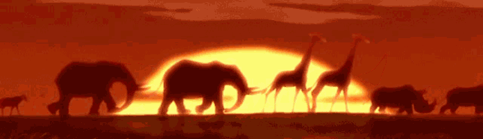 Lion King Lion King Savannah GIF