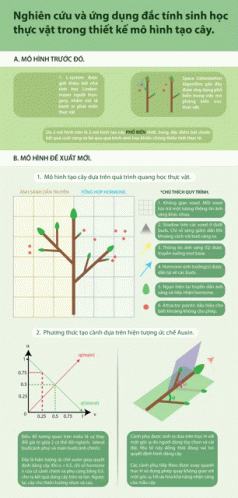 Graph Infographic GIF - Graph Infographic Trees GIFs