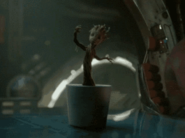 a small plant in a white pot is dancing in a dark room