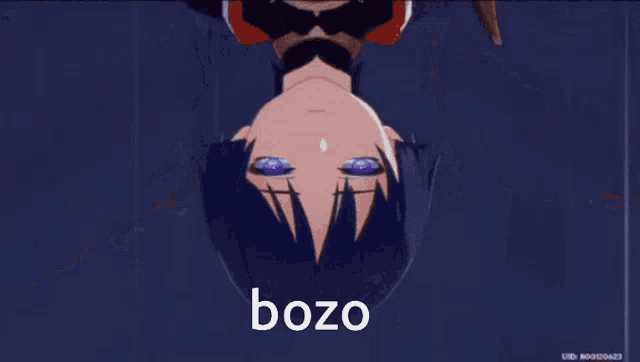 a person is standing in front of a large robot in a video game and says bozo .