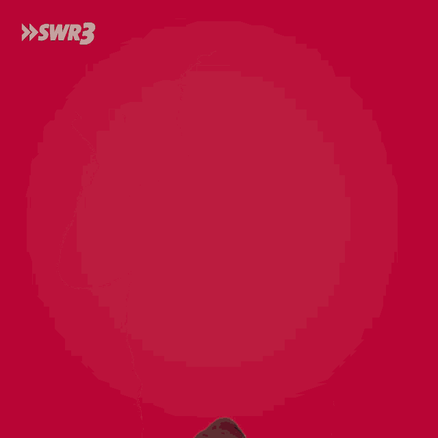 a man wearing sunglasses and a hoodie holds a bunch of money in front of a red background with swr3 on it