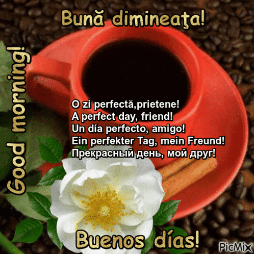 a red cup of coffee sits on a saucer next to a flower