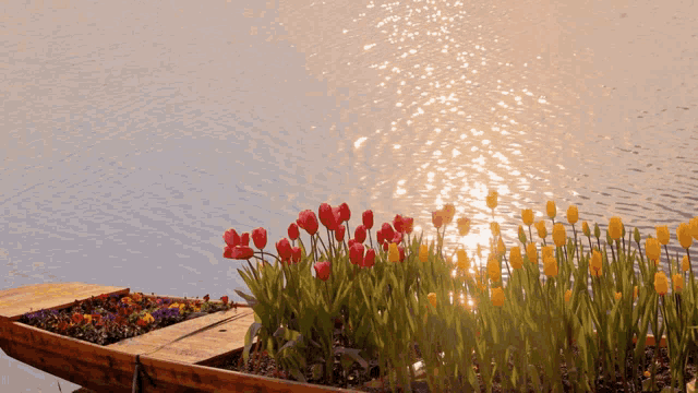 a boat filled with flowers sits on the shore of a body of water