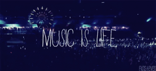 a crowd of people at a concert with a ferris wheel in the background and the words music is life on the bottom
