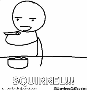 a cartoon of a man feeding a cat with the caption squirrel