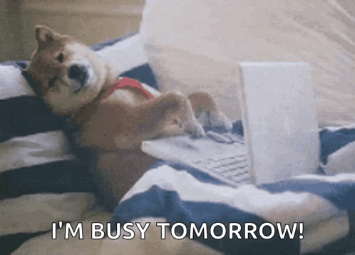 a dog is laying on a bed using a laptop computer and says i 'm busy tomorrow