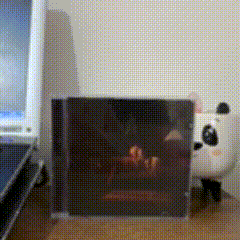 a cd case sits on a desk next to a panda figurine
