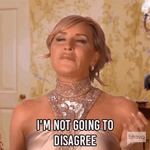 Im Not Going To Disagree Real Housewives Of New York GIF - Im Not Going To Disagree Real Housewives Of New York Rhony GIFs