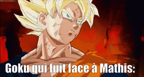goku qui fuit face a mathis is written on a cartoon character
