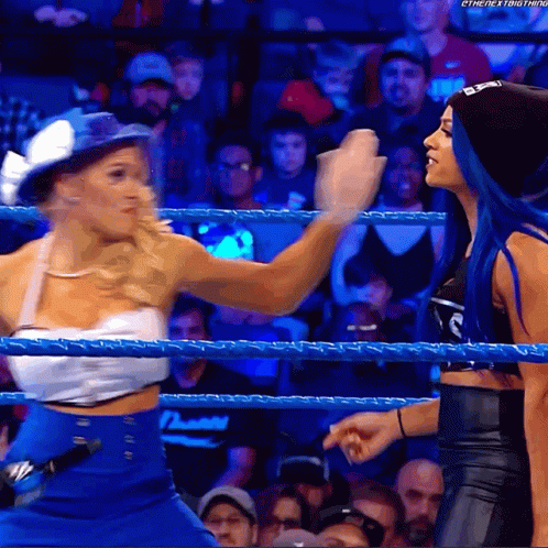 Lacey Evans A Womans Right GIF - Lacey Evans A Womans Right Wwe GIFs