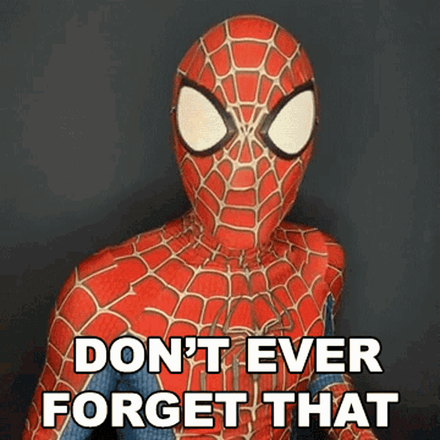 Dont Ever Forget That Spiderman GIF - Dont Ever Forget That Spiderman Cameo GIFs