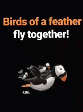 Birds Of A Feather Fly Together GIF - Birds Of A Feather Birds Of A Feather Fly Together GIFs