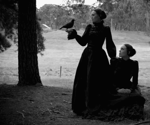Witching Eye GIF - Crows Halloween Twins GIFs