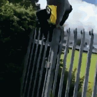 a person is jumping over a fence with a yellow bag in their hand .