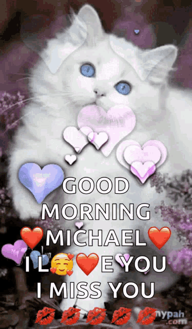 a white cat with blue eyes is surrounded by hearts and kisses and says good morning michael i love you i miss you