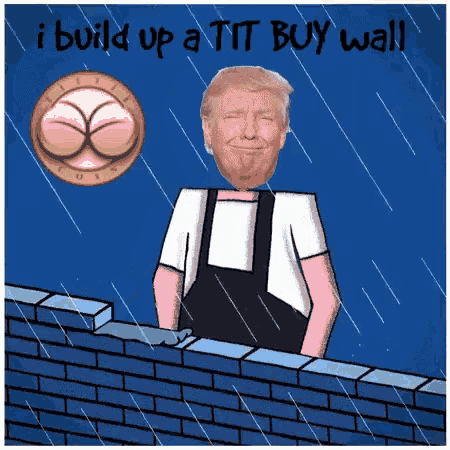 a cartoon of a man standing on a brick wall with the words " i build up a tit buy wall " above him