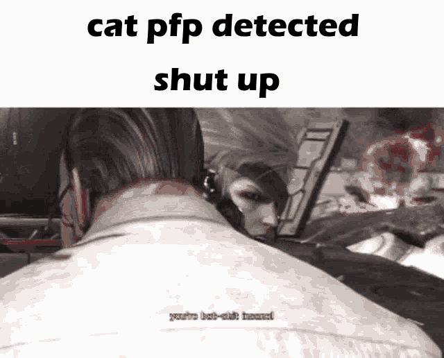 Cat Pfp Detected Up Metal Gear Rising GIF - Cat Pfp Detected Up Cat Pfp Metal Gear Rising GIFs