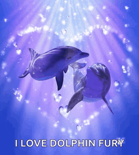 a picture of two dolphins with the words i love dolphin fury