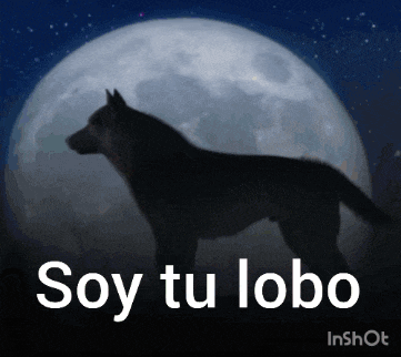 a silhouette of a wolf standing in front of a full moon