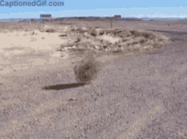 Tired Exhausted GIF - Tired Exhausted Bored GIFs