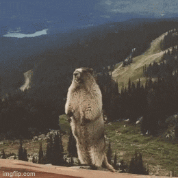 a groundhog is standing on its hind legs in front of a mountain range