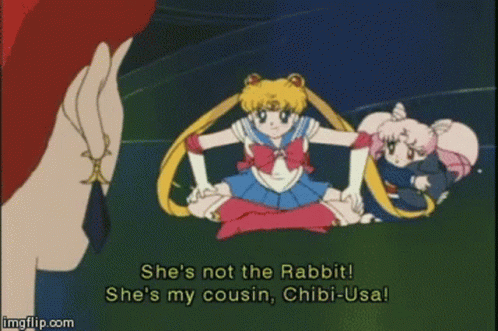 Sailor Moon Chibiusa GIF - Sailor Moon Chibiusa Rubeus GIFs