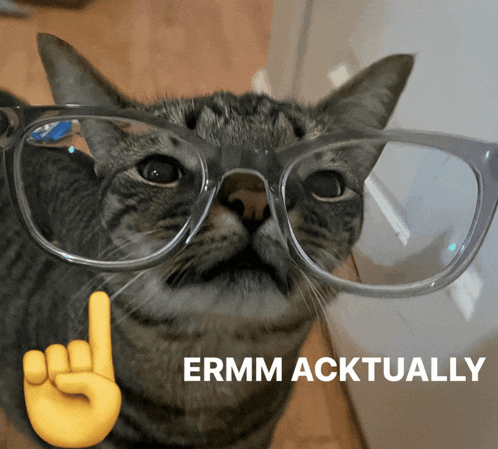 a cat wearing glasses next to a sign that says ermm actually