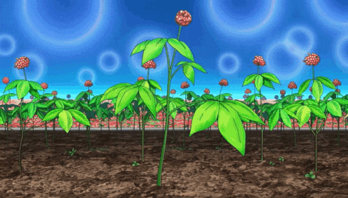 a cartoon illustration of a field of flowers with circles in the background