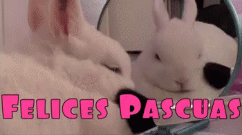 Felices Pascuas Conejo Blanco Maquillandose GIF - Felices Pascuas Conejo Conejo Blanco GIFs