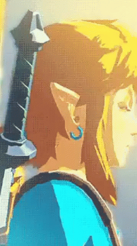 Botw Link GIF - Botw Link Zelda GIFs