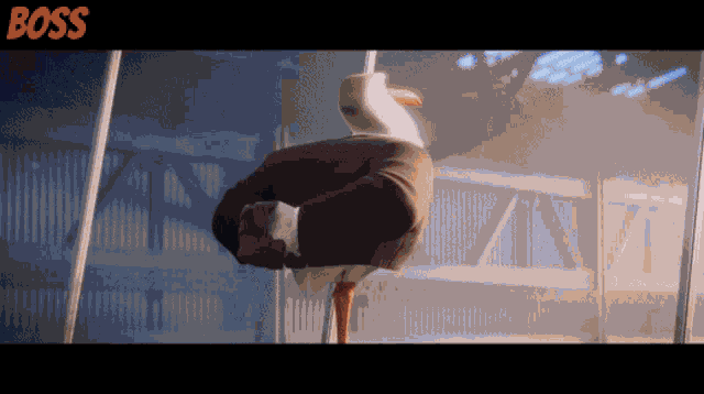 Gagalo Boss Storks GIF - Gagalo Boss Storks Storks GIFs