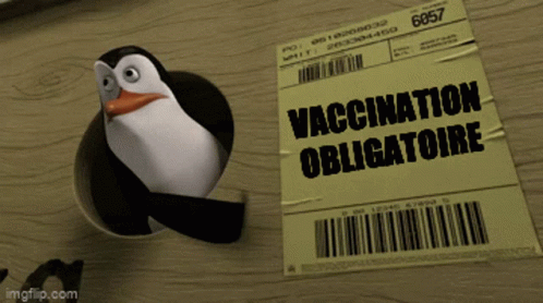 Vaccination Obligatoire Impfplicht GIF