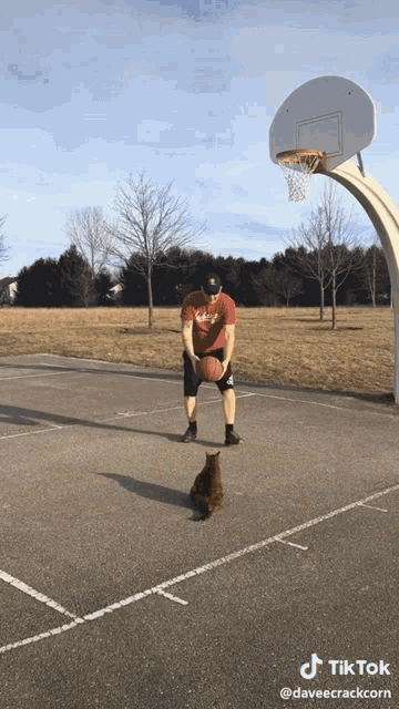 Jump Shot Basketball GIF - Jump Shot Basketball Cat GIFs