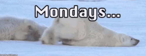 Excited Mondays GIF - Excited Mondays Lazy GIFs