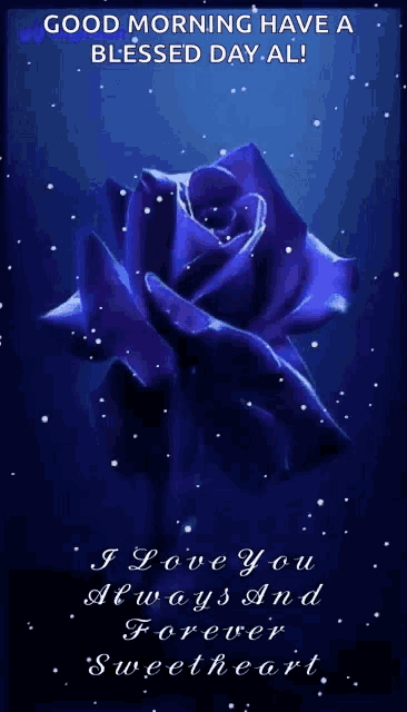 a blue rose with the words good morning have a blessed day al