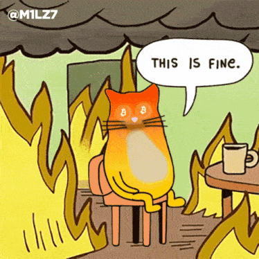This Is Fine Quantum Cats Taproot Wizards Fire GIF - This Is Fine Quantum Cats Taproot Wizards Fire GIFs