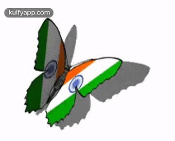 a butterfly with the flag of india painted on its wings .