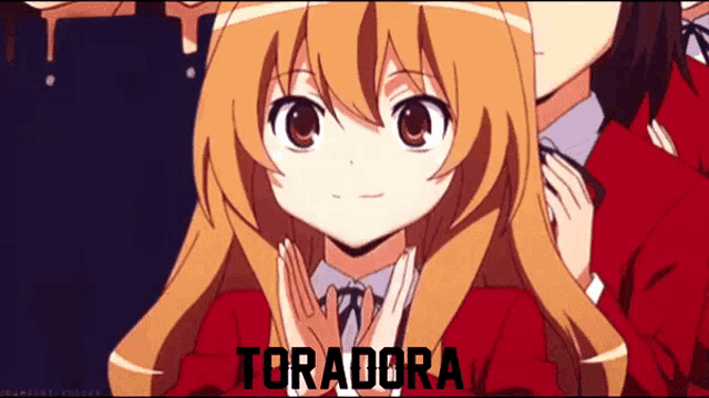 a cartoon of a girl with the word toradora on it