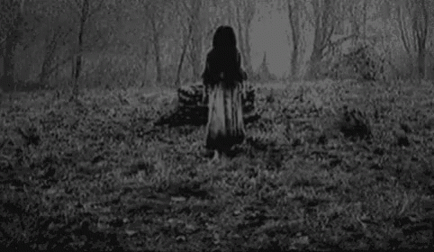 Ghost The Ring GIF - Ghost The Ring GIFs