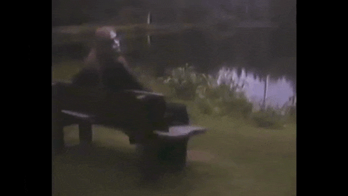 a person is sitting on a bench near a lake .