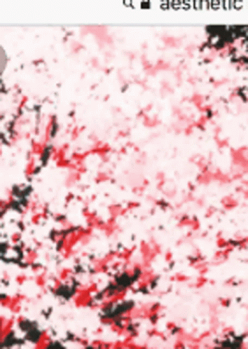 Blossom Tree GIF - Blossom Tree Blossom Tree GIFs