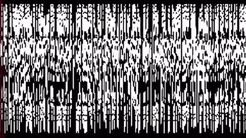 a black and white image of a row of trees with a red border .