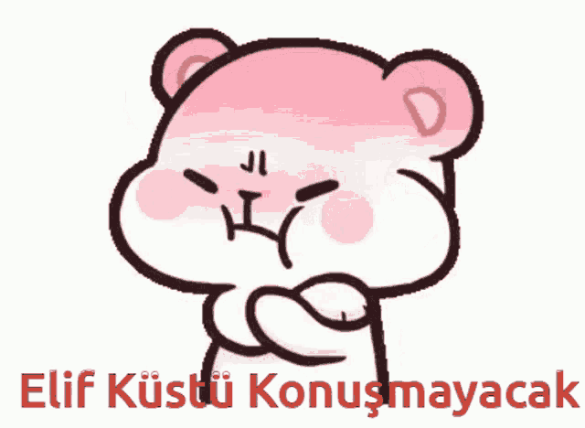 a cartoon of a teddy bear with an angry expression and the words elif küstü konuşmayacak