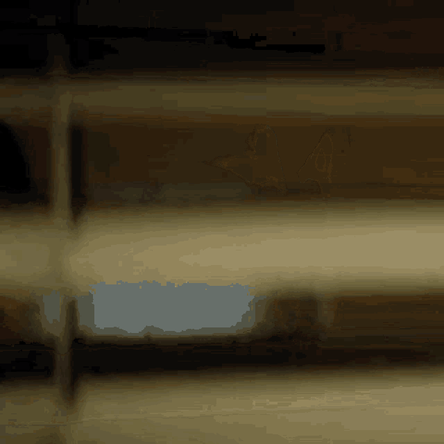 a blurred image of a person standing in front of a window .