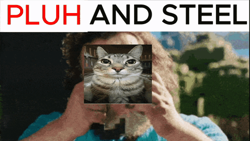 a man is taking a picture of a cat with the words " pluh and steel " behind him